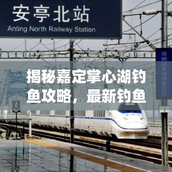 揭秘嘉定掌心湖釣魚攻略，最新釣魚地點(diǎn)圖，輕松釣大魚！