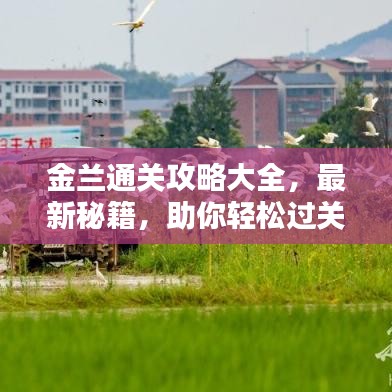 金蘭通關(guān)攻略大全，最新秘籍，助你輕松過(guò)關(guān)！