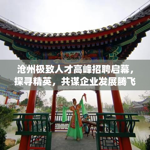 滄州極致人才高峰招聘啟幕，探尋精英，共謀企業(yè)發(fā)展騰飛之路