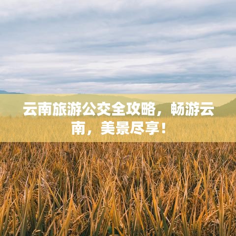 云南旅游公交全攻略，暢游云南，美景盡享！