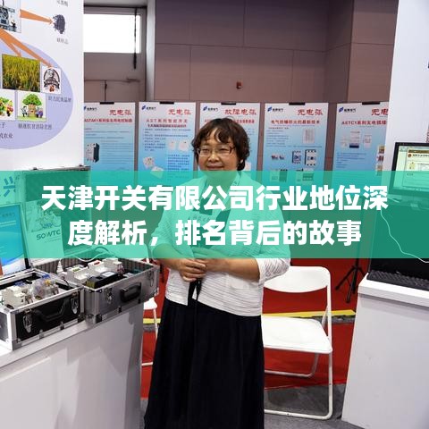 天津開關有限公司行業(yè)地位深度解析，排名背后的故事