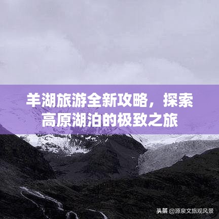 羊湖旅游全新攻略，探索高原湖泊的極致之旅