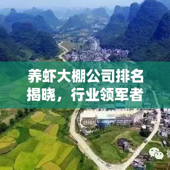 養(yǎng)蝦大棚公司排名揭曉，行業(yè)領(lǐng)軍者榜單探尋