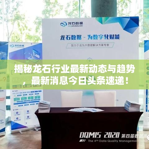 揭秘龍石行業(yè)最新動(dòng)態(tài)與趨勢(shì)，最新消息今日頭條速遞！