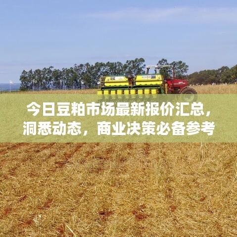 今日豆粕市場(chǎng)最新報(bào)價(jià)匯總，洞悉動(dòng)態(tài)，商業(yè)決策必備參考