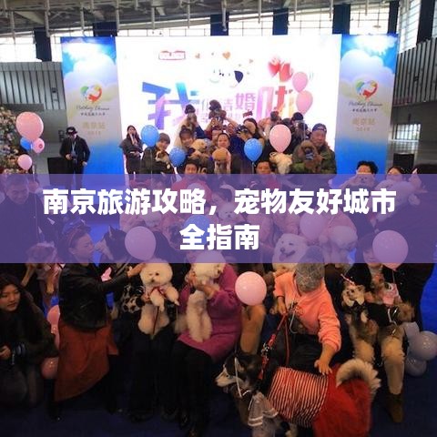 南京旅游攻略，寵物友好城市全指南