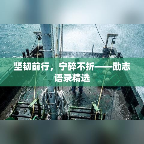 堅韌前行，寧碎不折——勵志語錄精選