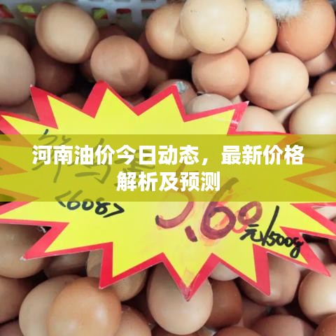 河南油價今日動態(tài)，最新價格解析及預測
