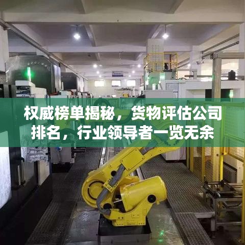 權(quán)威榜單揭秘，貨物評(píng)估公司排名，行業(yè)領(lǐng)導(dǎo)者一覽無余