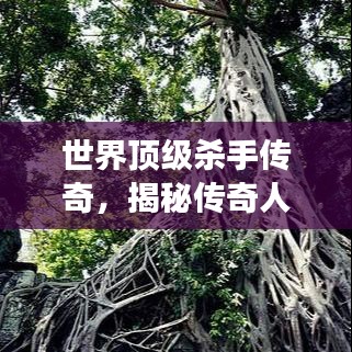 世界頂級(jí)殺手傳奇，揭秘傳奇人物的神秘背景與故事