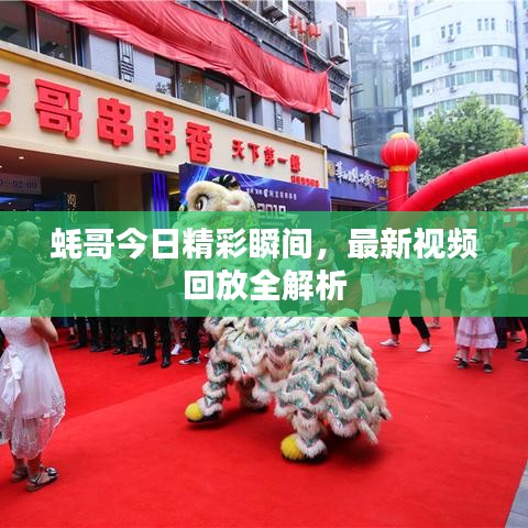 蠔哥今日精彩瞬間，最新視頻回放全解析