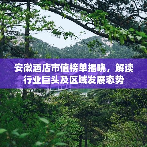 安徽酒店市值榜單揭曉，解讀行業(yè)巨頭及區(qū)域發(fā)展態(tài)勢(shì)