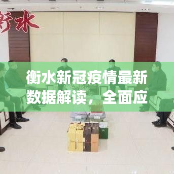 衡水新冠疫情最新數(shù)據(jù)解讀，全面應對與策略分享