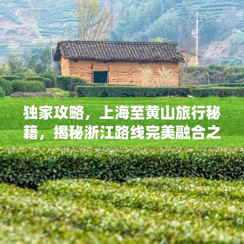獨(dú)家攻略，上海至黃山旅行秘籍，揭秘浙江路線完美融合之旅！