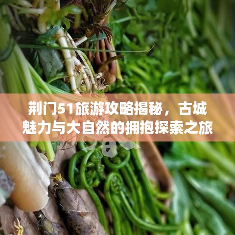 荊門51旅游攻略揭秘，古城魅力與大自然的擁抱探索之旅
