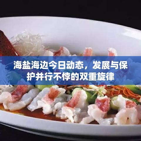 海鹽海邊今日動態(tài)，發(fā)展與保護并行不悖的雙重旋律