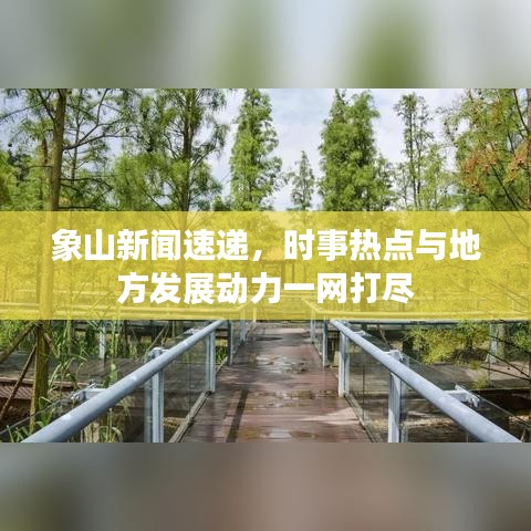象山新聞速遞，時事熱點與地方發(fā)展動力一網(wǎng)打盡