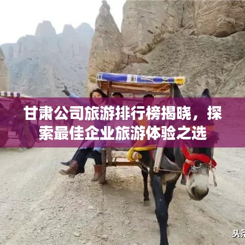 甘肅公司旅游排行榜揭曉，探索最佳企業(yè)旅游體驗之選
