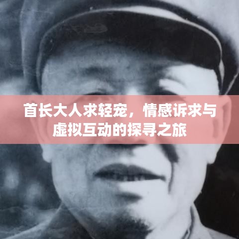 首長大人求輕寵，情感訴求與虛擬互動的探尋之旅