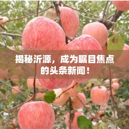 揭秘沂源，成為矚目焦點的頭條新聞！