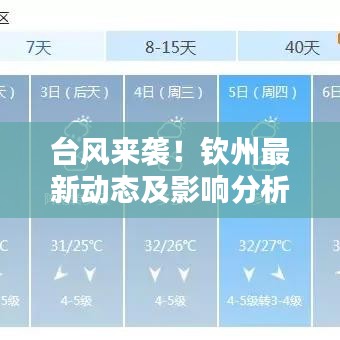 臺(tái)風(fēng)來襲！欽州最新動(dòng)態(tài)及影響分析