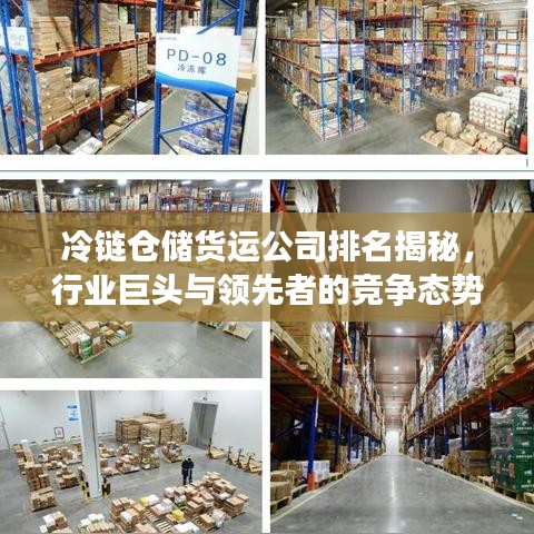 冷鏈倉儲貨運公司排名揭秘，行業(yè)巨頭與領(lǐng)先者的競爭態(tài)勢分析