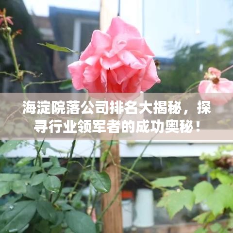 海淀院落公司排名大揭秘，探尋行業(yè)領(lǐng)軍者的成功奧秘！
