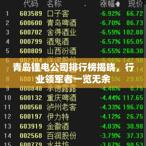 青島鋰電公司排行榜揭曉，行業(yè)領(lǐng)軍者一覽無余