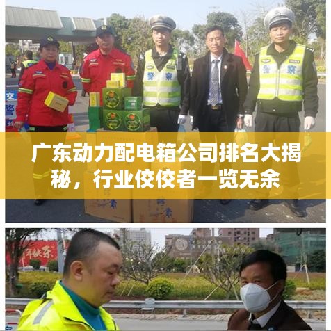 廣東動力配電箱公司排名大揭秘，行業(yè)佼佼者一覽無余