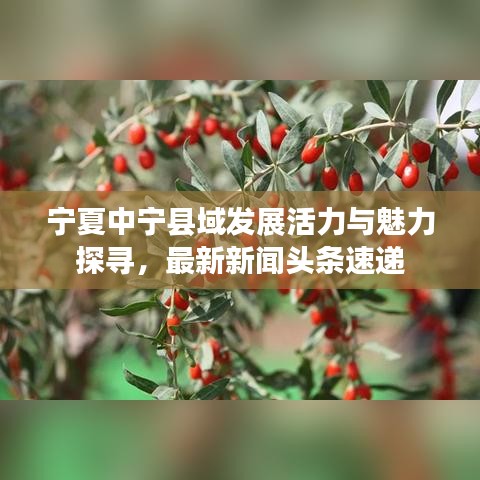 寧夏中寧縣域發(fā)展活力與魅力探尋，最新新聞?lì)^條速遞