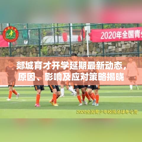 郯城育才開學(xué)延期最新動態(tài)，原因、影響及應(yīng)對策略揭曉