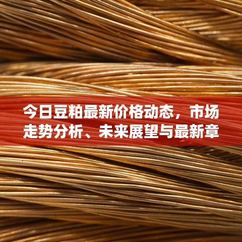 今日豆粕最新價(jià)格動(dòng)態(tài)，市場(chǎng)走勢(shì)分析、未來展望與最新章節(jié)價(jià)格概覽