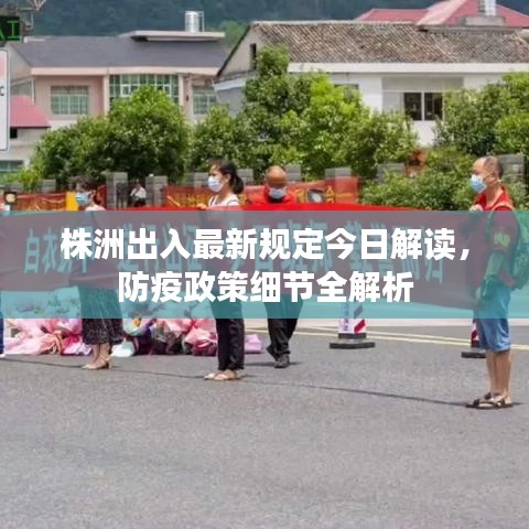 株洲出入最新規(guī)定今日解讀，防疫政策細節(jié)全解析