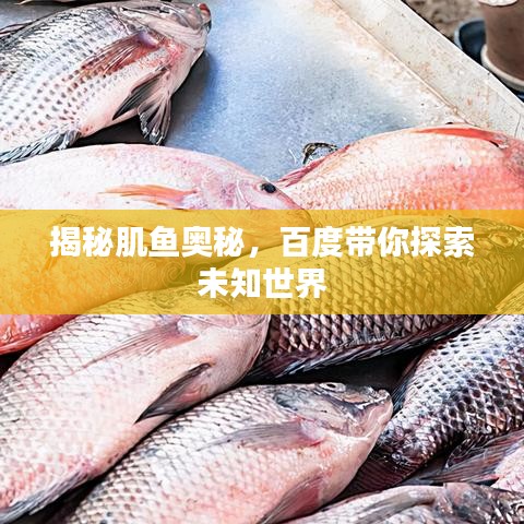 揭秘肌魚奧秘，百度帶你探索未知世界