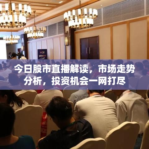 今日股市直播解讀，市場走勢分析，投資機會一網打盡