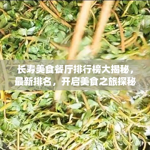 長(zhǎng)壽美食餐廳排行榜大揭秘，最新排名，開啟美食之旅探秘之旅！