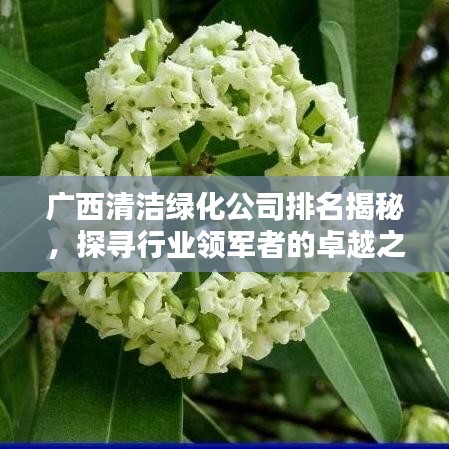 廣西清潔綠化公司排名揭秘，探尋行業(yè)領(lǐng)軍者的卓越之路