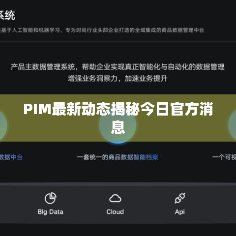 PIM最新動態(tài)揭秘今日官方消息