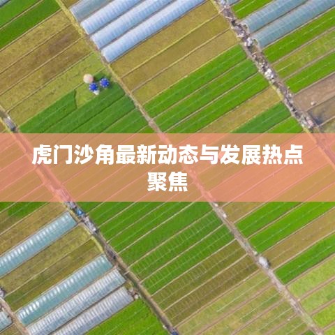 虎門沙角最新動(dòng)態(tài)與發(fā)展熱點(diǎn)聚焦