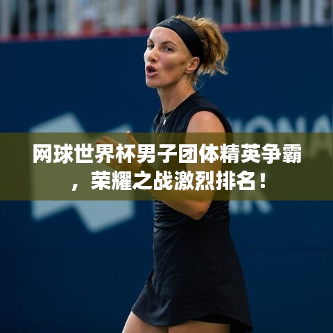 網(wǎng)球世界杯男子團(tuán)體精英爭(zhēng)霸，榮耀之戰(zhàn)激烈排名！