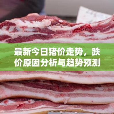 最新今日豬價走勢，跌價原因分析與趨勢預(yù)測