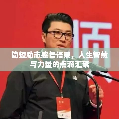 簡短勵志感悟語錄，人生智慧與力量的點滴匯聚