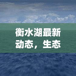 衡水湖最新動態(tài)，生態(tài)美景與休閑勝地再煥新篇章