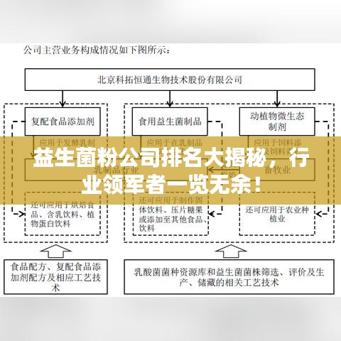 益生菌粉公司排名大揭秘，行業(yè)領(lǐng)軍者一覽無(wú)余！