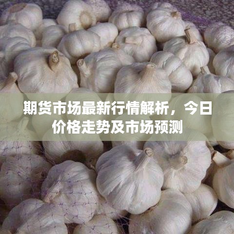 期貨市場最新行情解析，今日價格走勢及市場預(yù)測