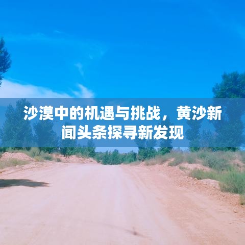 沙漠中的機(jī)遇與挑戰(zhàn)，黃沙新聞頭條探尋新發(fā)現(xiàn)