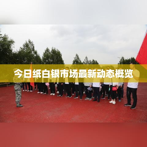 今日紙白銀市場最新動態(tài)概覽