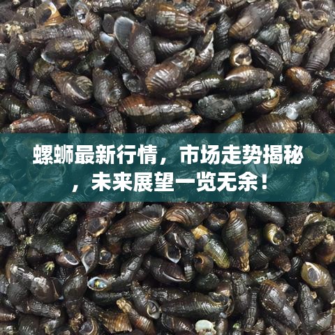 螺螄最新行情，市場(chǎng)走勢(shì)揭秘，未來(lái)展望一覽無(wú)余！