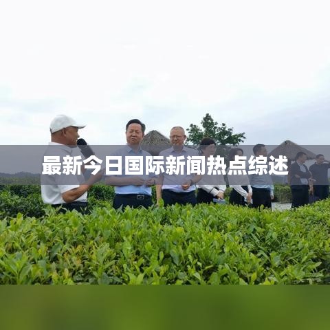 拾金不昧 第4頁