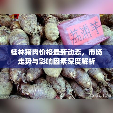 桂林豬肉價格最新動態(tài)，市場走勢與影響因素深度解析
